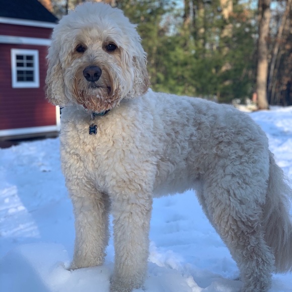 Meet your Posher, Jordana - Picture 2 of 2